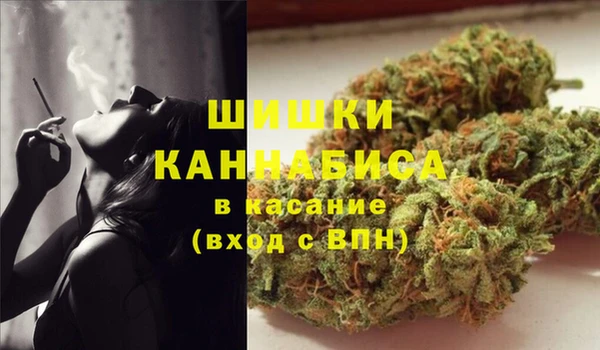 дурь Белокуриха