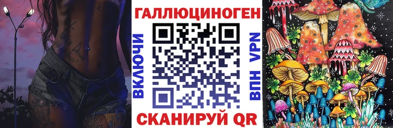Галлюциногенные грибы Psilocybe  дарк нет наркотические препараты  omg как зайти  Невель  где продают наркотики 